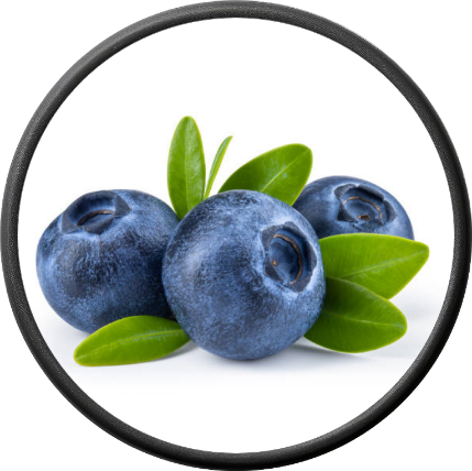 Fresh Blueberry